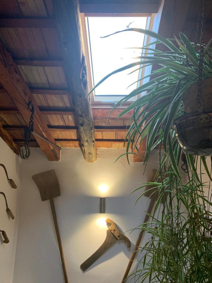 فيلا Casa Ines Penaguila المظهر الخارجي الصورة